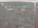 dsc05738.JPG