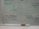 dsc05745.JPG