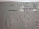 dsc05750.JPG