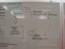 dsc05753.JPG