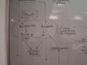 dsc05828.JPG