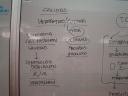 dsc05843.JPG