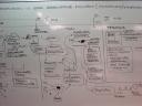 dsc01114.JPG