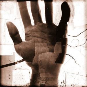 blacklies04_life_lines