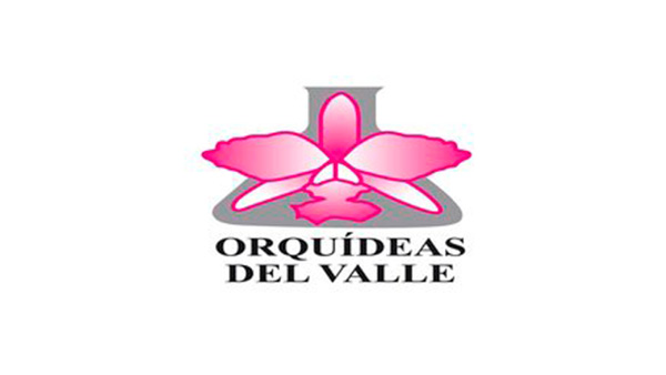 orquideas del valle
