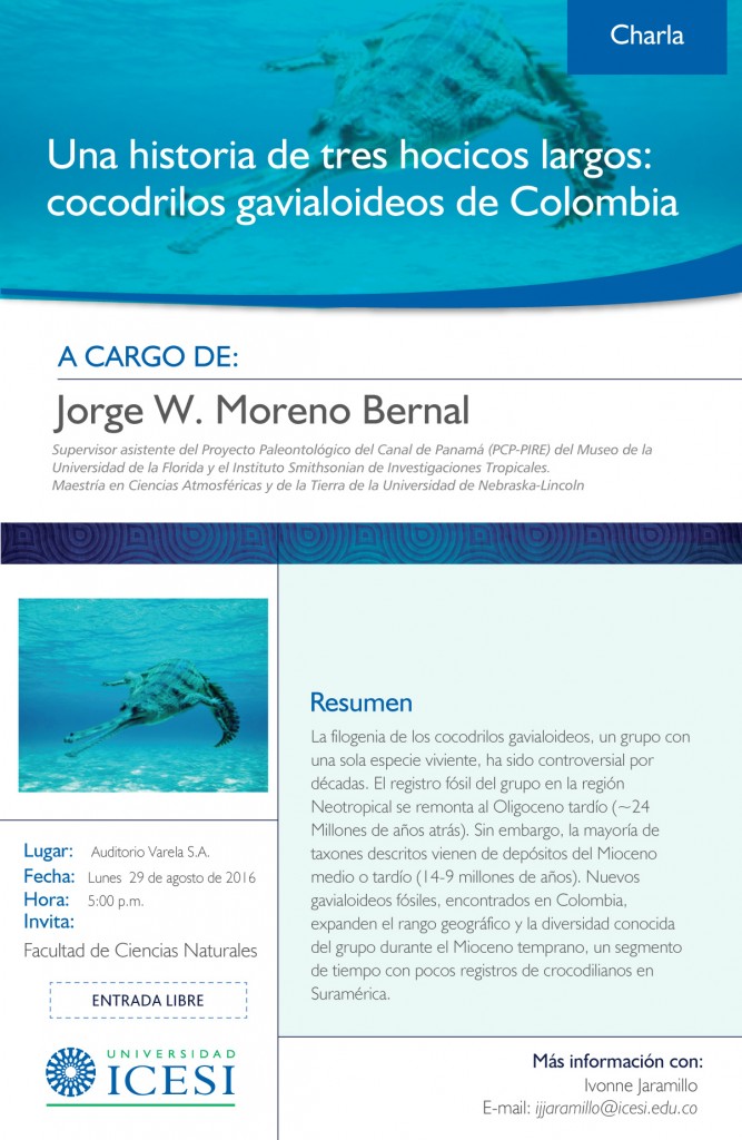 Cocodrilos-gavialoideos-de-Colombia (9)