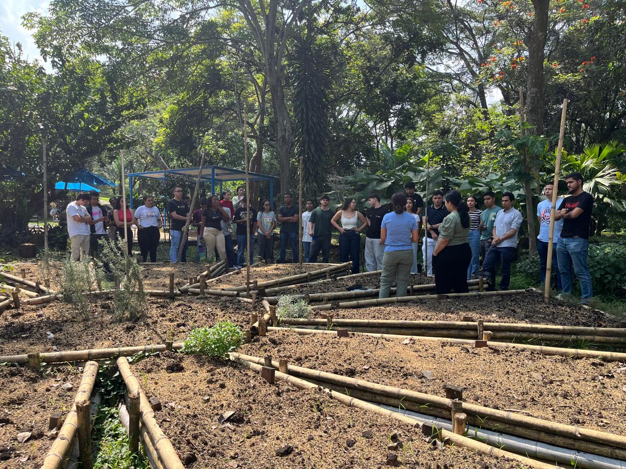 WhatsApp Image 2025-07-15 at 11.34.14 AM