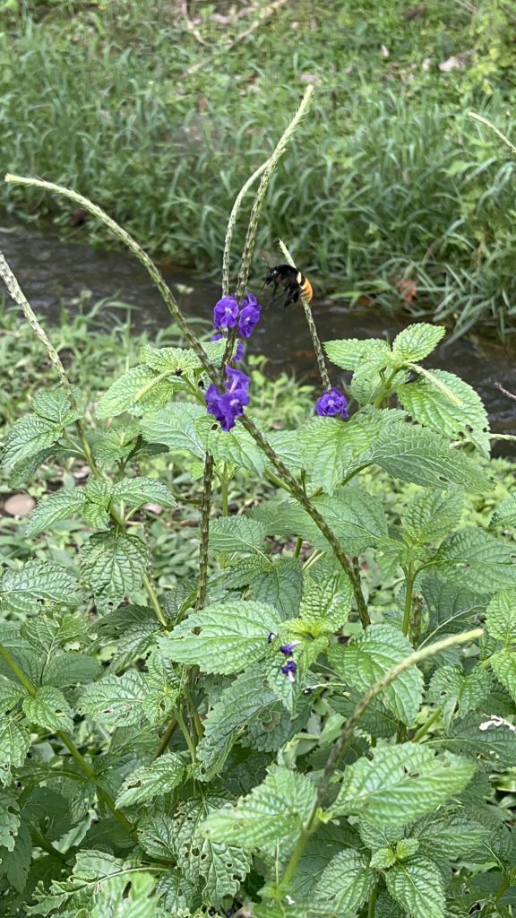 20250410_164853536_iOS