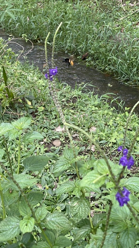 20250410_164858433_iOS