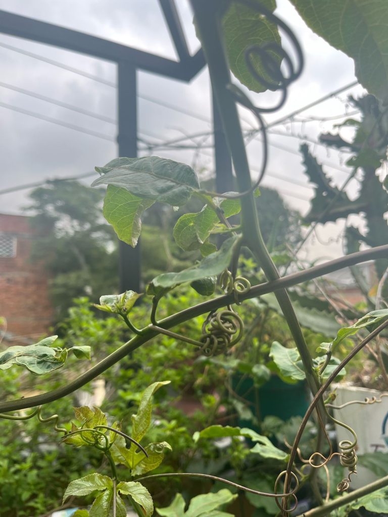 WhatsApp Image 2025-04-09 at 4.23.44 PM