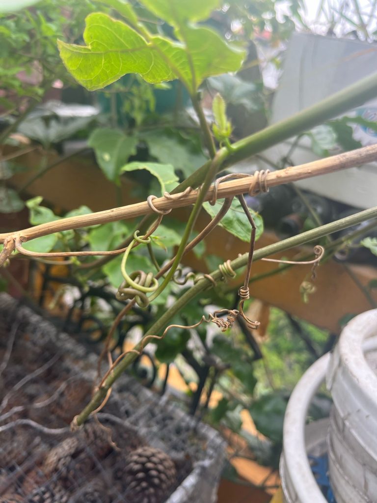 WhatsApp Image 2025-04-09 at 4.23.46 PM