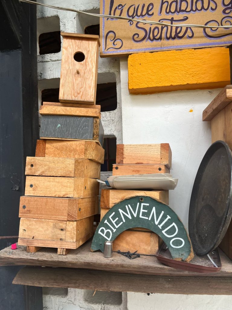 WhatsApp Image 2025-04-09 at 4.23.48 PM