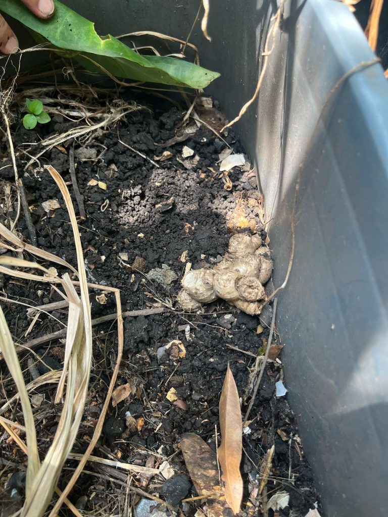 WhatsApp Image 2025-04-09 at 4.23.50 PM