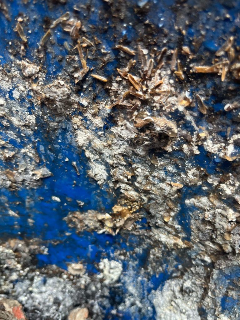 WhatsApp Image 2025-04-09 at 4.24.31 PM