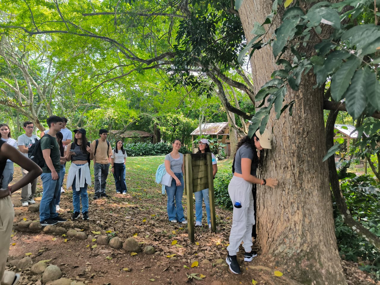 Imagen de WhatsApp 2025-10-12 a las 19.35.16_45595f7a