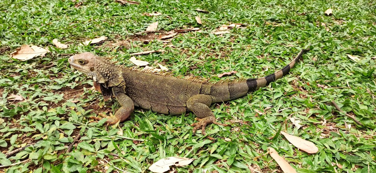 WhatsApp-Image-2024-10-07-at-7.19.54-AM-1200x554