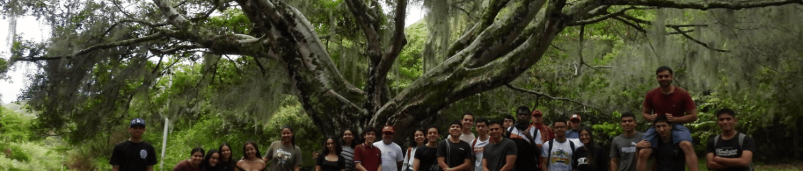 Adobe Express - file