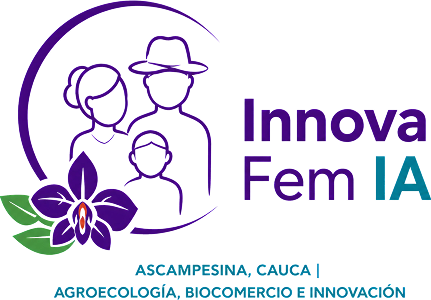 InnovaFemIA