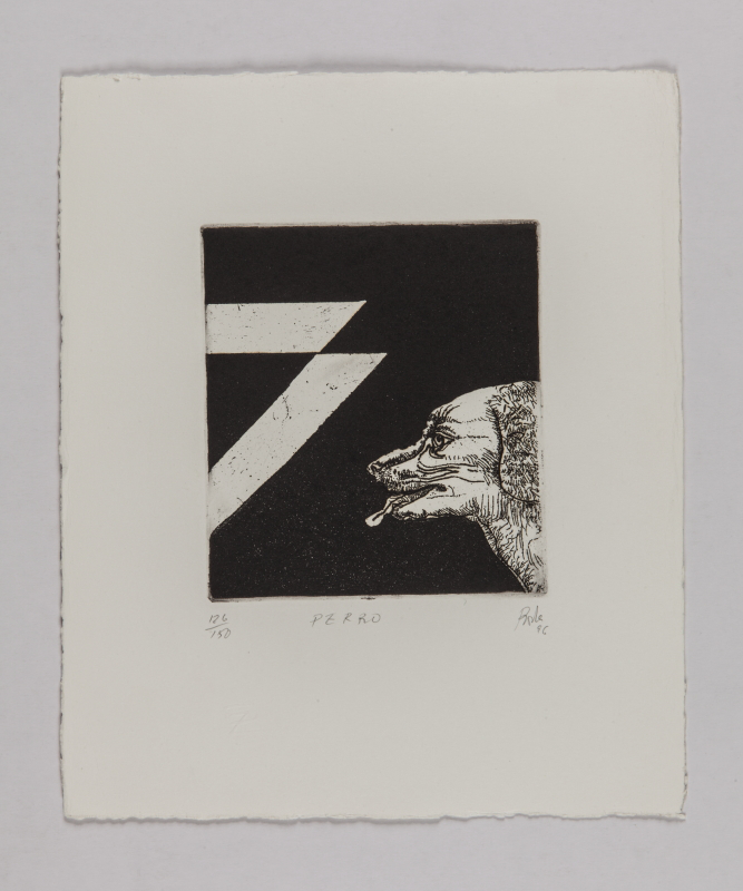 Horóscopo chino, 1996 - Perro