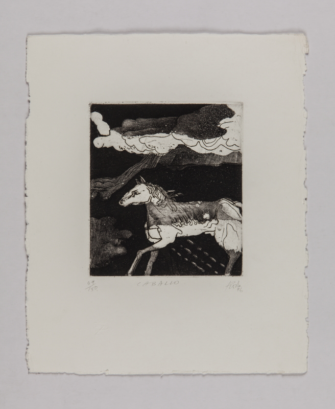 Horóscopo chino, 1996 - Caballo