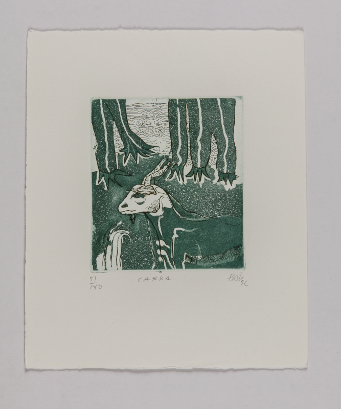 Horóscopo chino, 1996 - Cabra