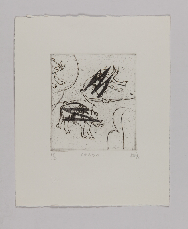 Horóscopo chino, 1996 - Cerdo