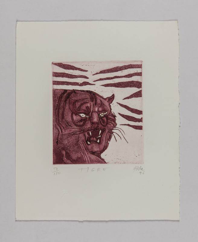 Horóscopo chino, 1996 - Tigre