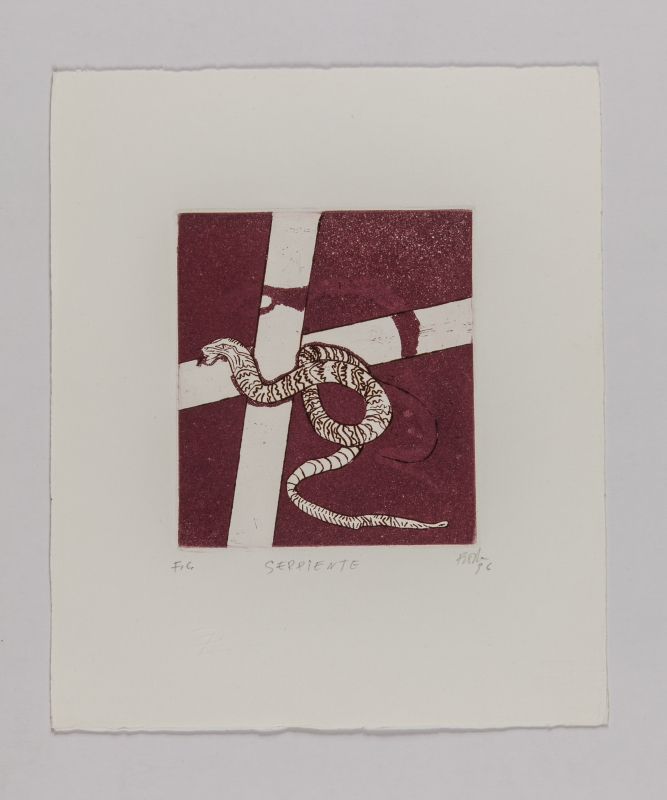 Horóscopo chino, 1996 - Serpiente