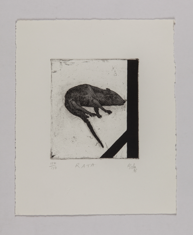 Horóscopo chino, 1996 - Rata