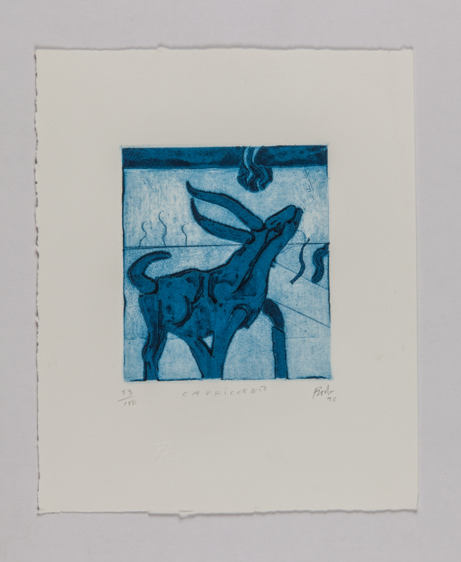 Horóscopo, 1996 - Capricornio