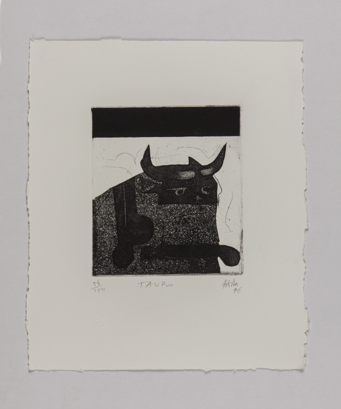 Horóscopo, 1996 - Tauro