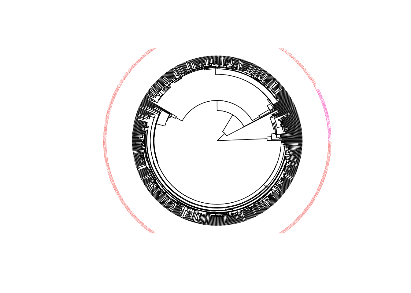 Dendrograma método del centroide tipo fan