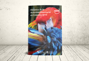 Libro - Dinámica de la actividad empresarial en Colombia | Editorial Universidad Icesi