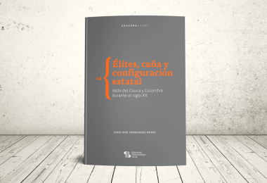 Libro - Élites, caña y configuración estatal. Valle del Cauca y Colombia durante el siglo XX | Editorial Universidad Icesi