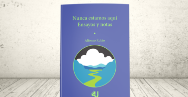 Libro - Nunca estamos aquí. Ensayos y notas | Universidad Icesi, CESA, Universidad del norte y Universidad Eafit