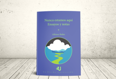 Libro - Nunca estamos aquí. Ensayos y notas | Universidad Icesi, CESA, Universidad del norte y Universidad Eafit