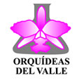 Orquídeas Del Valle