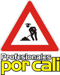 Profesionales por Cali