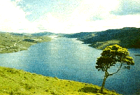 Lotes en el Lago Calima