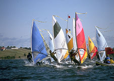 Lostes disponibles en el Lago Calima