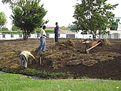 Graderías de la cancha profesional de Fútbol