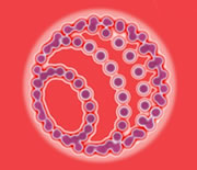 Primer Encuentro Nacional de Investigación en Diseño: ¿Qué es Diseño Hoy?