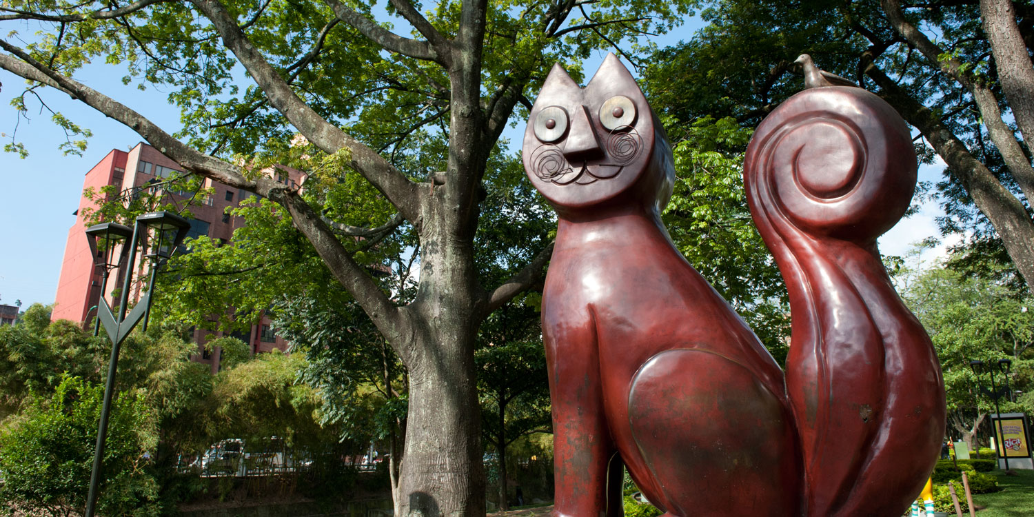 ¿En qué condiciones viven los caleños?