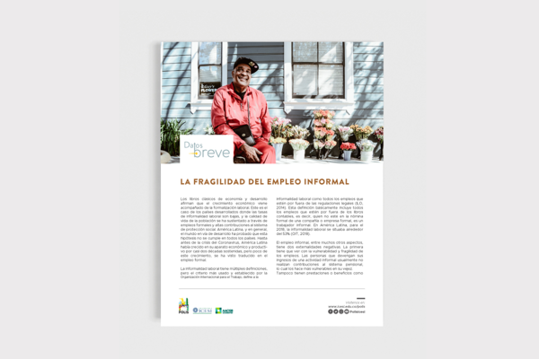 Datos en breve 17 - La fragilidad del empleo informal