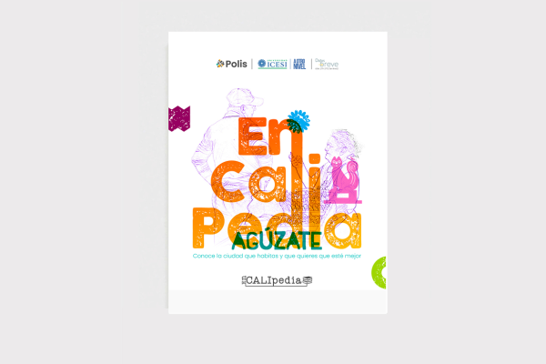Datos en breve 51 - Encalipedia: ¿Qué hay que hacer por Cali?Votar por una administración pública con visión de largo plazo