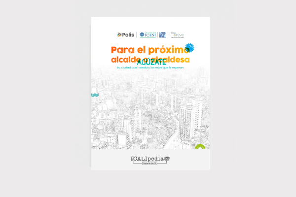 Datos en breve 66 - Encalipedia. Para el próximo alcalde o alcaldesa: la ciudad que hereda y los retos que le esperan
