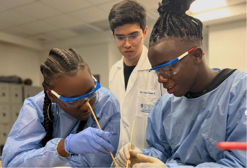 Pieza Gráfica Hanna