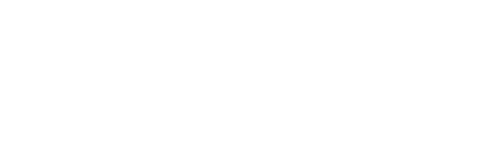 Our vision