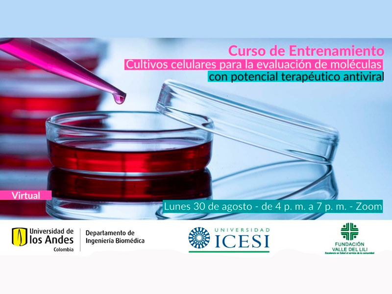 Imagen de fondo Curso Virtual Gratuito: Cultivos celulares para la evaluación de moléculas con potencial terapéutico antiviral